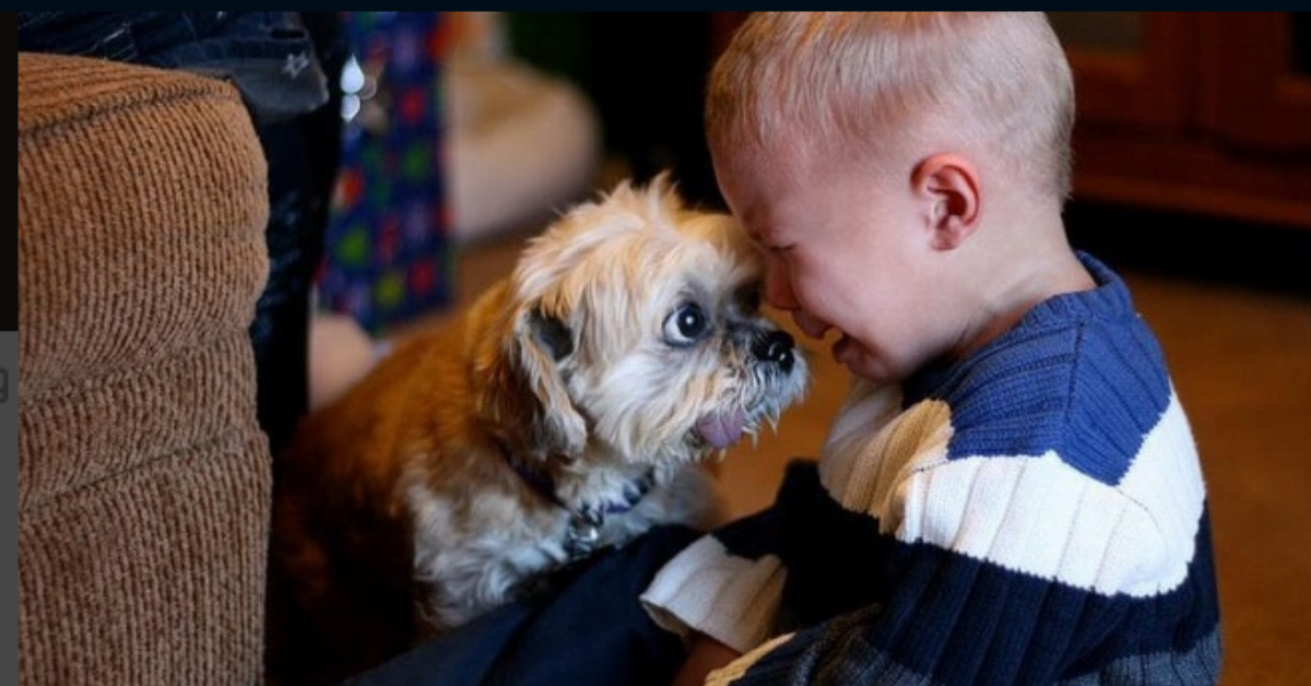 Você acha que crianças não devem ter animais de estimação? Dá uma olhada nessas fotos!
