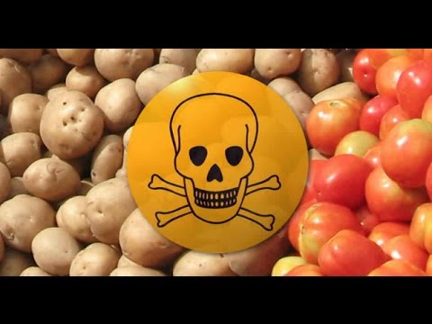 7 alimentos tóxicos que as pessoas comem regularmente
