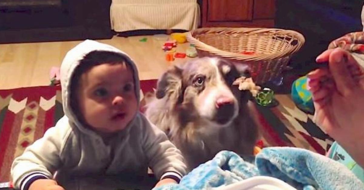 A mãe pede para o bebê falar “mama”. Mas observe o cachorro do lado direito faz.