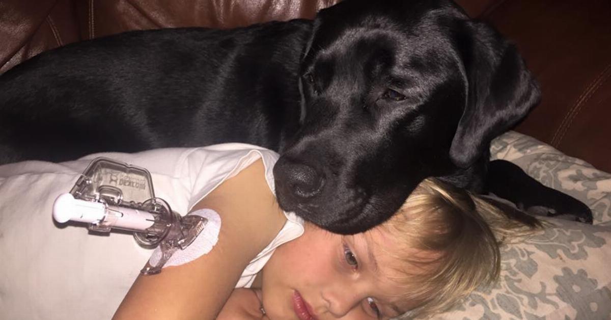 Este cão alerta esta mãe no meio da noite, e foi assim que salvou a vida do seu filho pequeno
