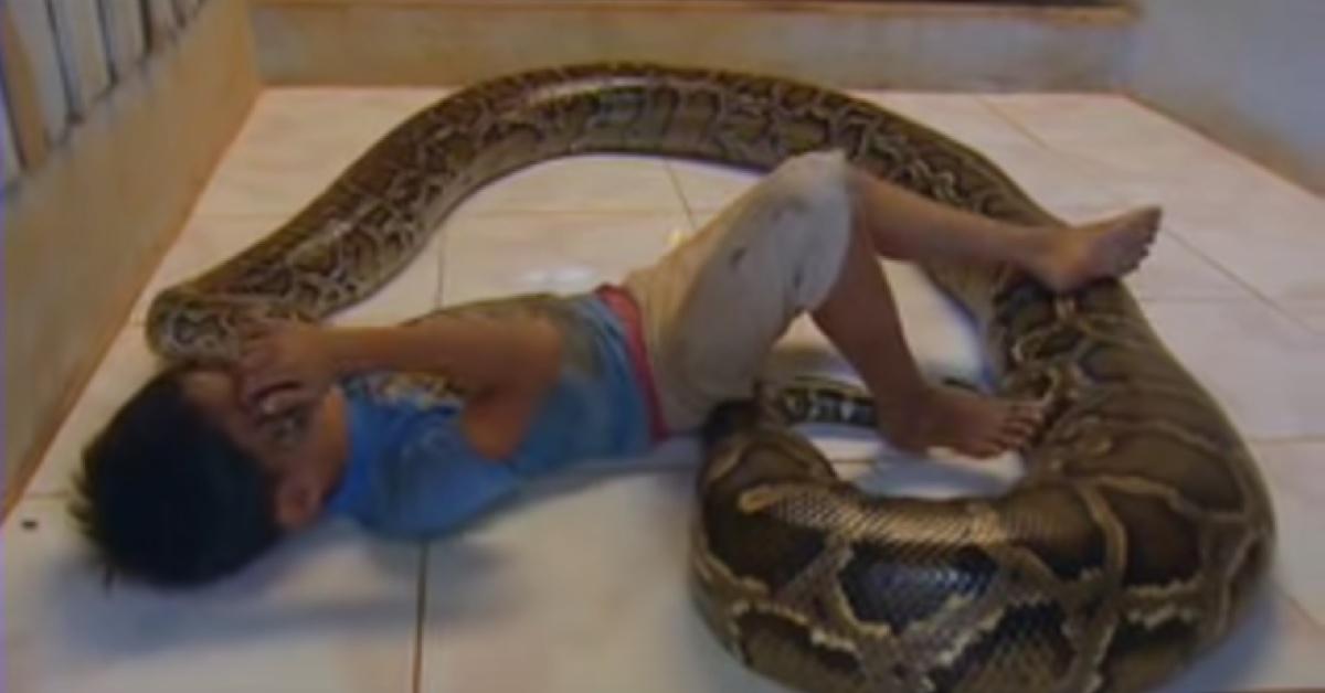 Este bebé dormiu com uma cobra todas as noites. Mas 11 anos depois, veja no que ela se tornou!