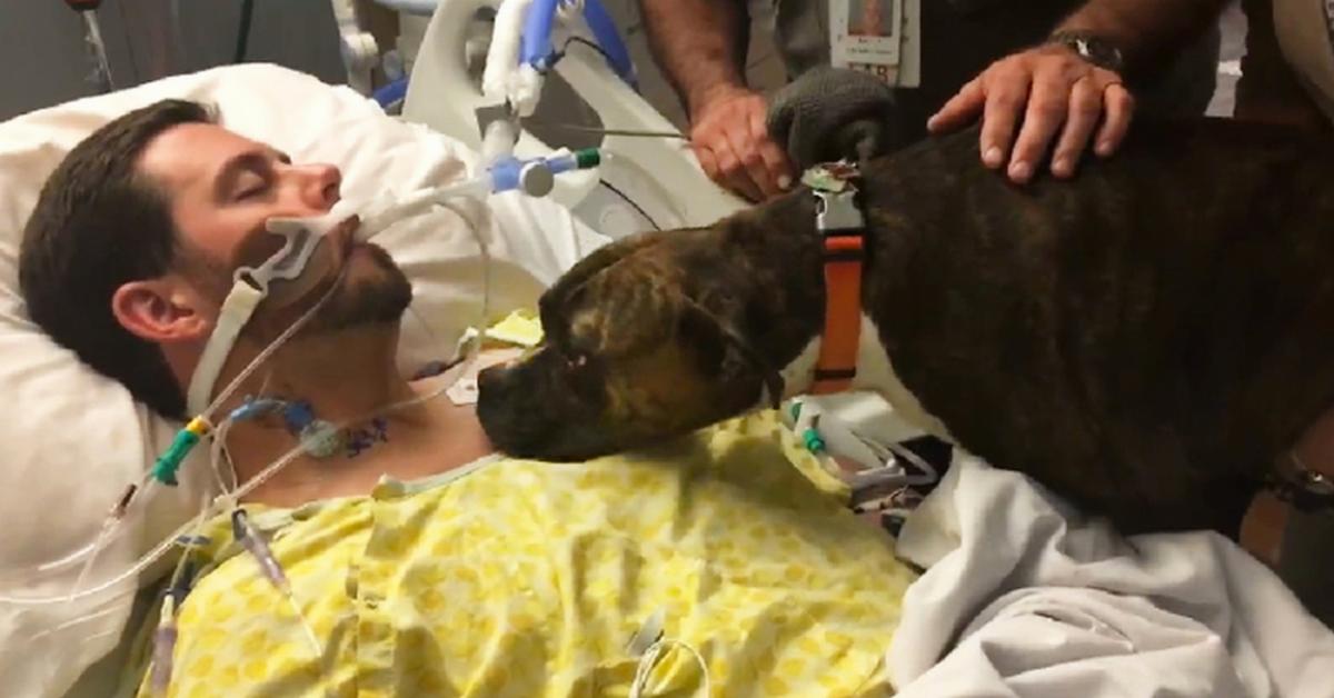 O médicos abriram uma excepção e deixaram essa cadela entrar para ver seu dono no seu leito de morte. O que aconteceu em seguida partiu meu coração.