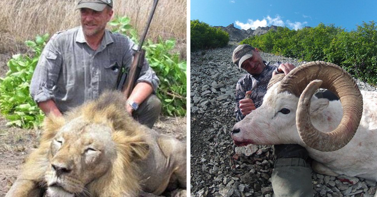 Karma é lixado o veterinario que matou e tirou foto do famoso leão caiu 30 metros para a sua morte