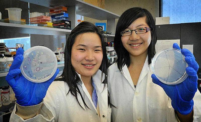 2 cientistas chinesas descobriram a salvação do nosso planeta: uma bactéria que come plástico